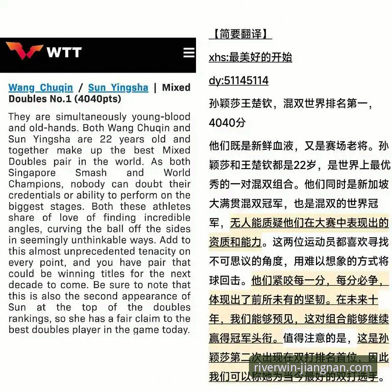 孙颖莎的稳定控制vs帕拉南的借力突击：一场技术风格的典型对局解析